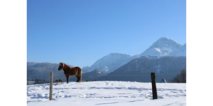Wanderurlaub - Klassifizierung: 3 Sterne - Tirol - Winterwandern - Die Lilie - Hotel Garni