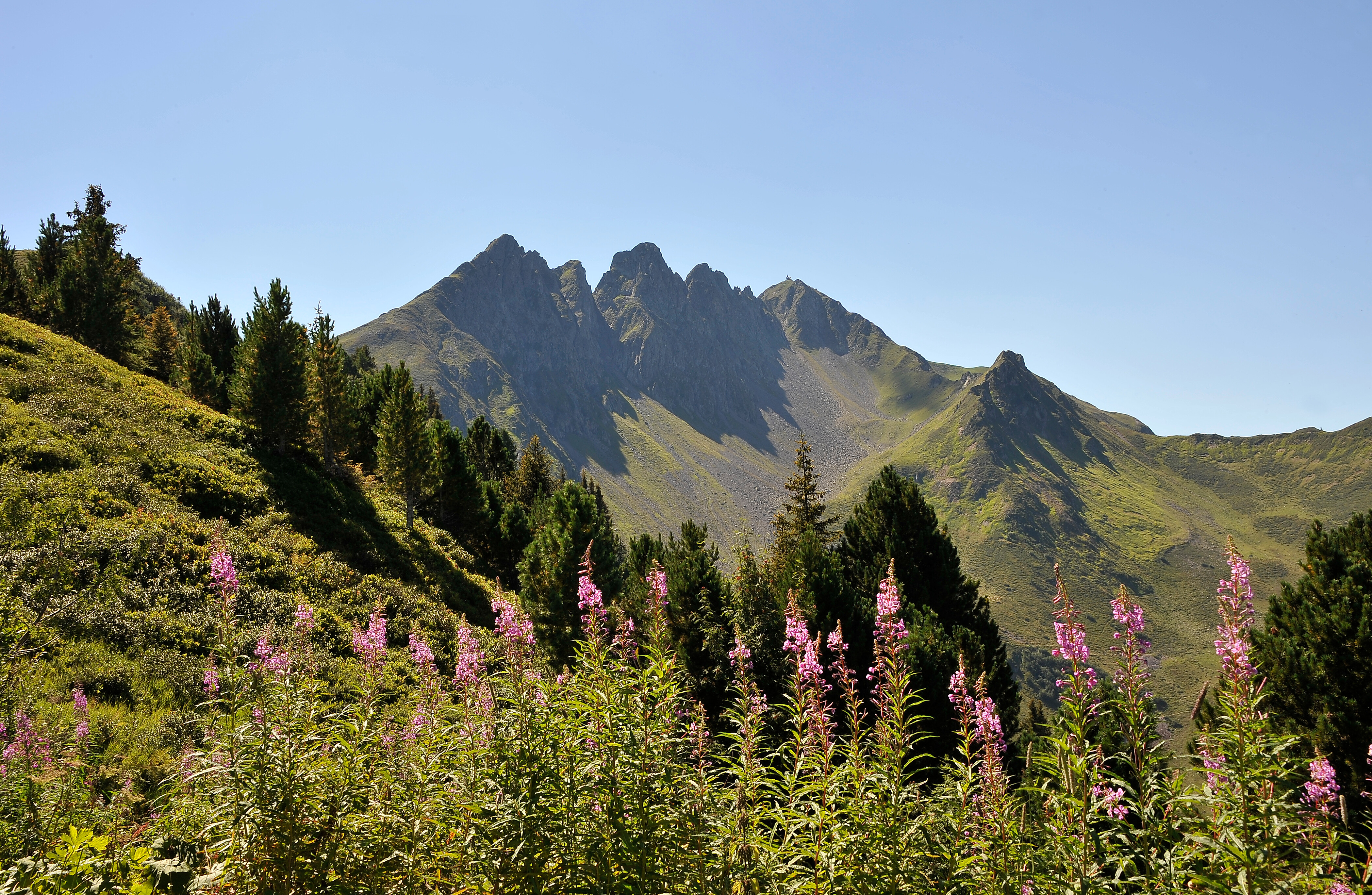 KOSIS Sports Lifestyle Hotel Tourentipps Spieljoch-Geolsalm-Gartalm-Gamsstein-Hochfügen: