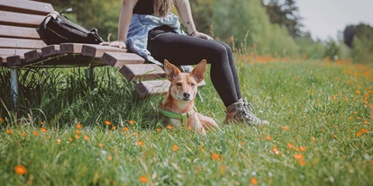 Wanderurlaub - Fahrstuhl - Hund ruht sich aus beim wandern - Das Marienhöh - Hideaway & Spa