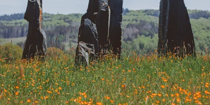 Wanderurlaub - Fahrstuhl - Kunst Skultur Köhlerpfad - Das Marienhöh - Hideaway & Spa