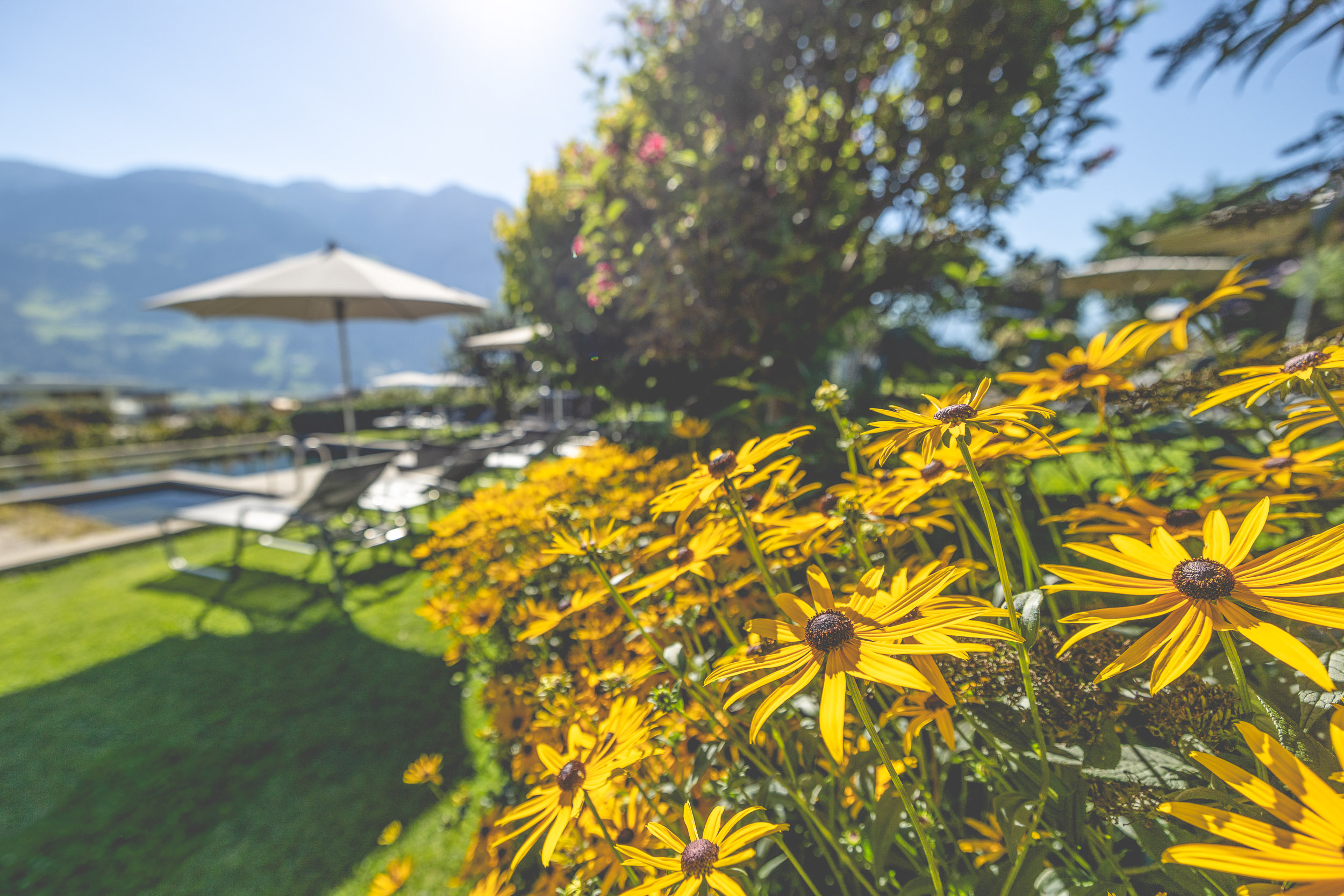 Wanderurlaub - Reith im Alpbachtal - Liegewiese im Garten - Gartenhotel Crystal