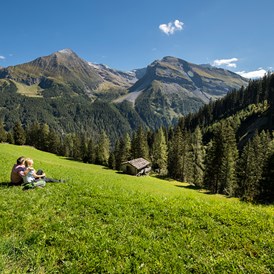 Wanderhotel: Bergblick genießen - Hotel Alpenhof
