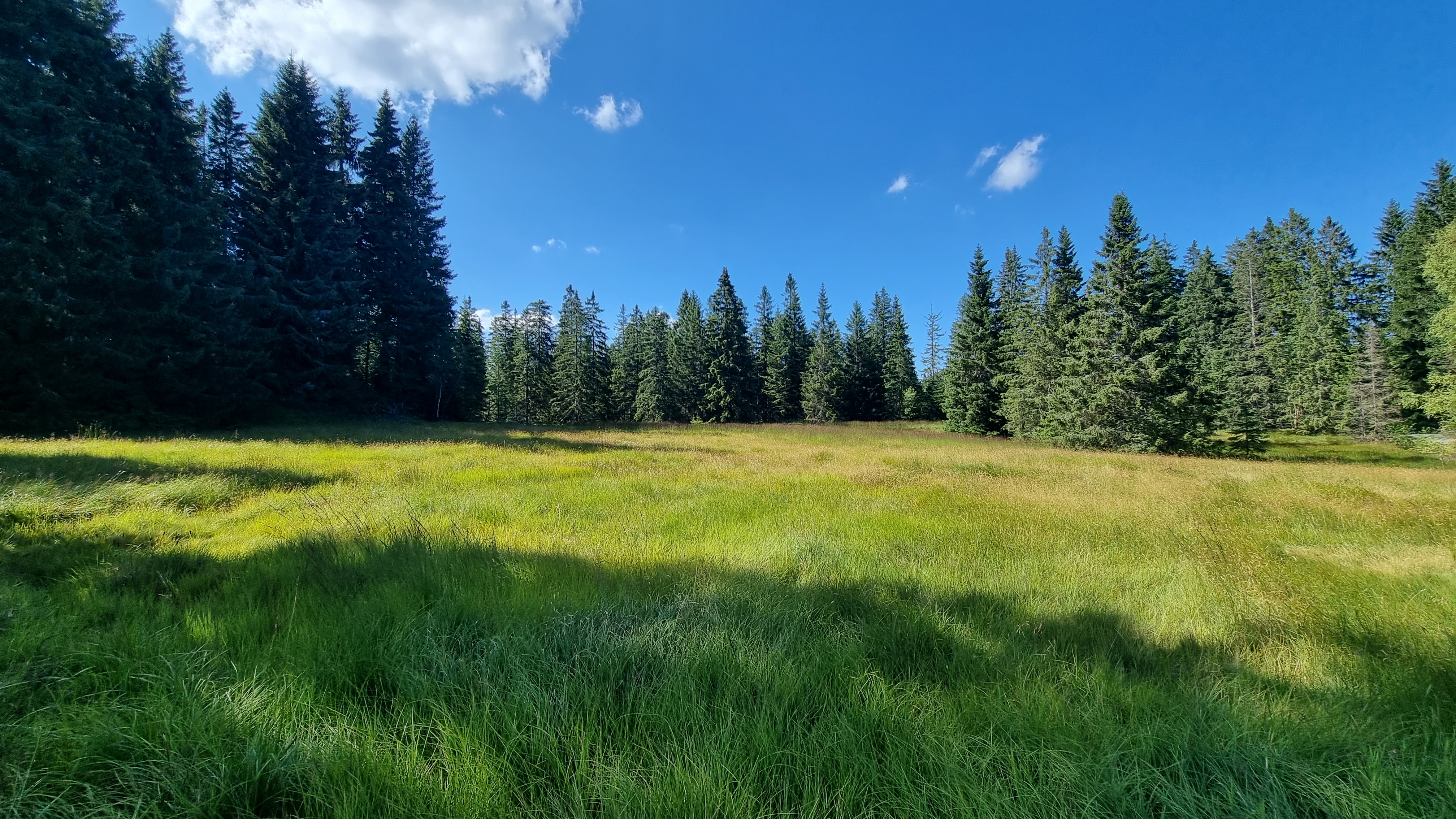 Hotel Erlebnis Wald Johanngeorgenstadt Tourentipps Rundwanderung "Kleiner Kranichsee"