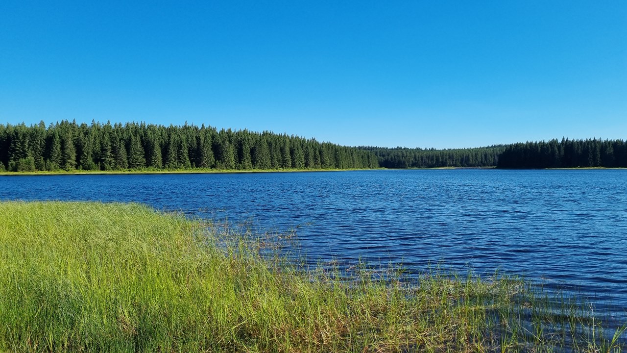 Hotel Erlebnis Wald Johanngeorgenstadt Tourentipps Kammweg Erzgebirge-Vogtland