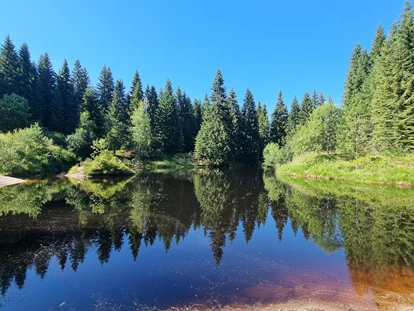 Wanderurlaub - Fahrstuhl - Traumhafte Wälder direkt in der Umgebung. - Hotel Erlebnis Wald Johanngeorgenstadt