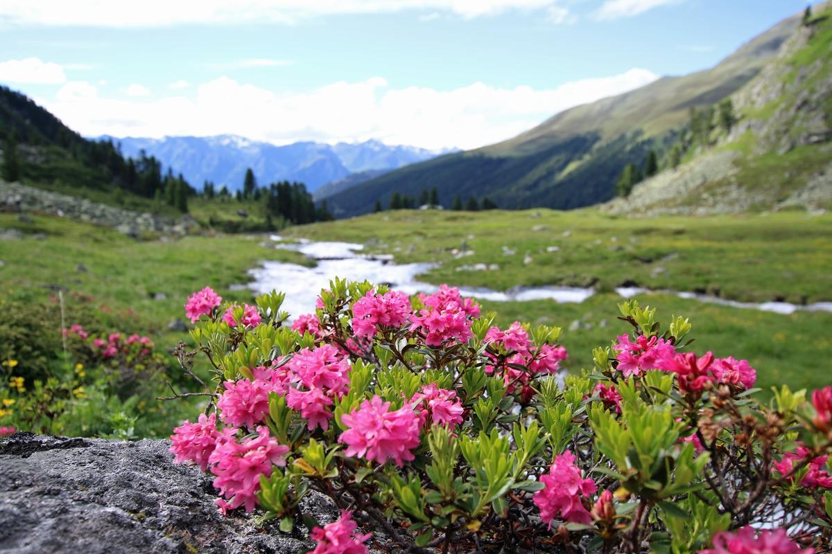 Gartenhotel Linde Tourentipps HOHENZOLLERNHAUS - BERGSEE