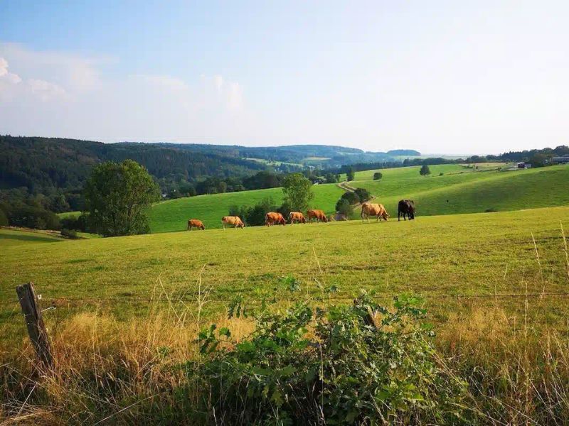 Wanderhotel: Oberbergische Landschaft - Parkhotel Nümbrecht