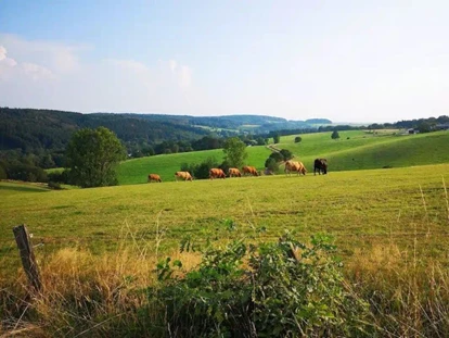 Wanderurlaub - Fahrstuhl - Oberbergische Landschaft - Parkhotel Nümbrecht