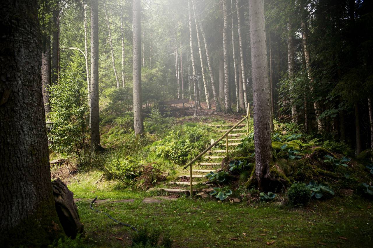 Wanderhotel: Hotel Langenwaldsee