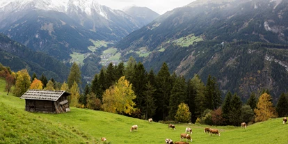 Wanderurlaub - Hotel-Schwerpunkt: Wandern & Biken - Tirol - ElisabethHotel