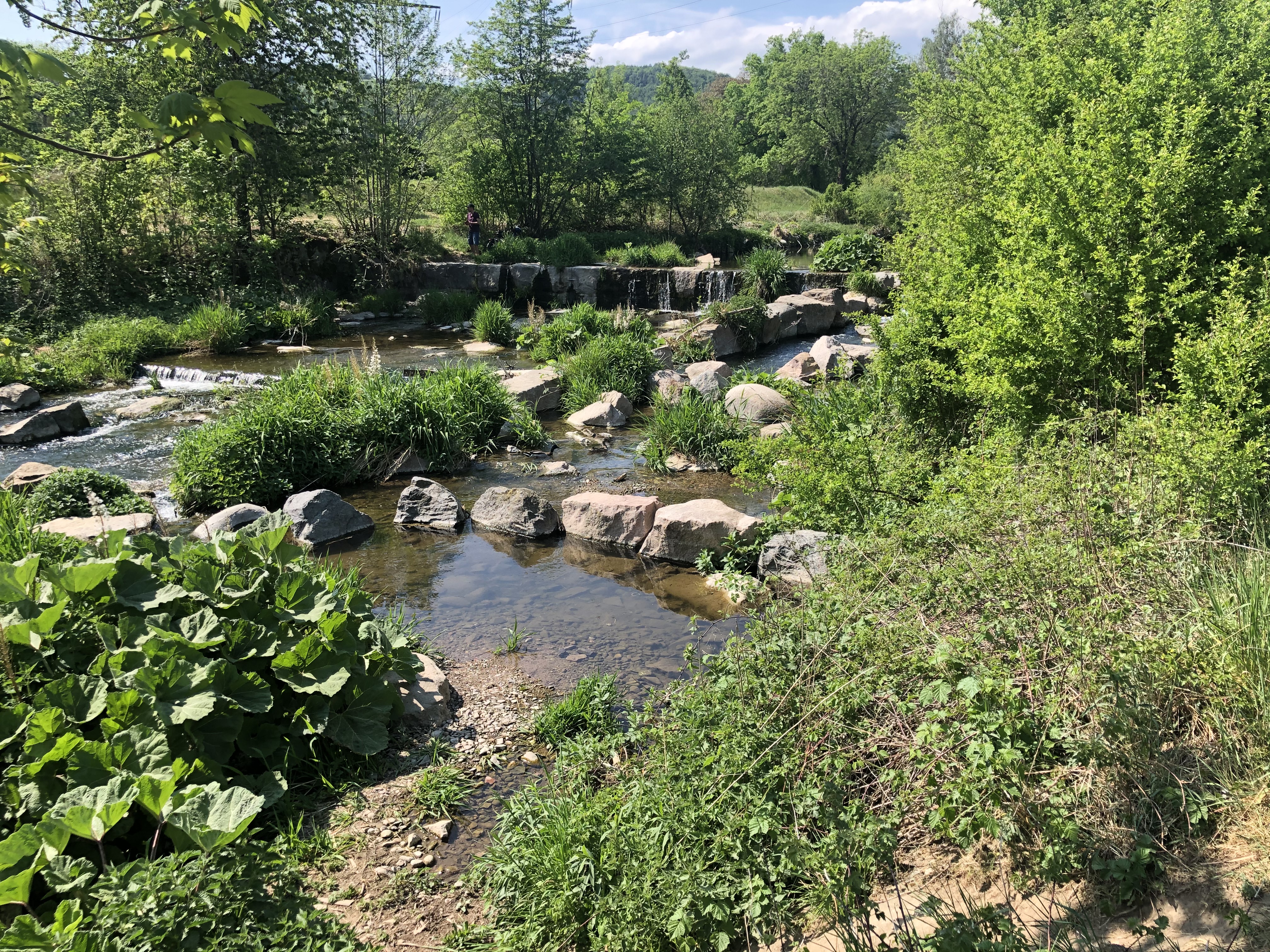 Genuss- und Wellnesshotel Bercher Tourentipps Über den Glockenhof nach Gurtweil und entlang an der Schlücht zurück