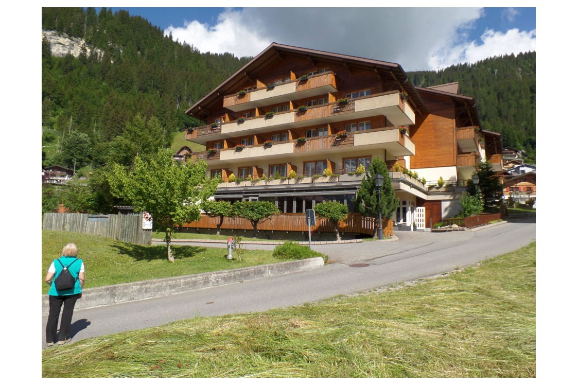 Wanderhotel: Hotel Steinmattli