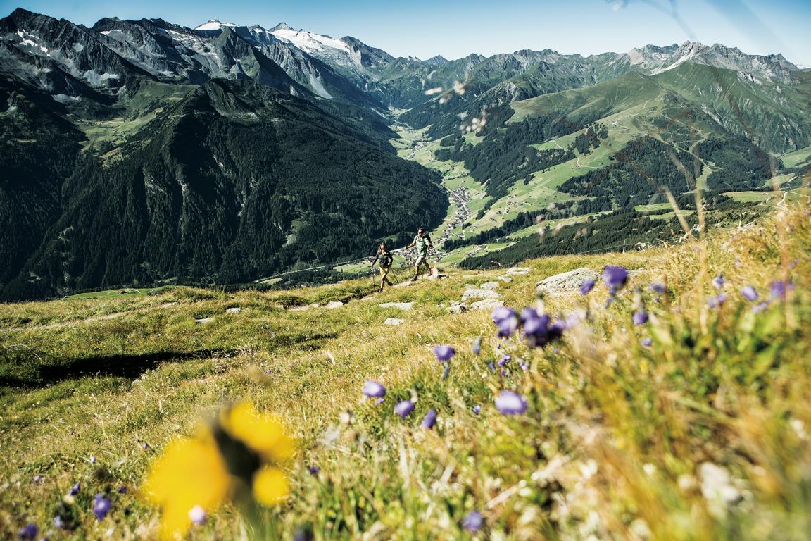 Wanderhotel: Ferienregion Tux-Finkenberg - Hotel Pinzger Tux