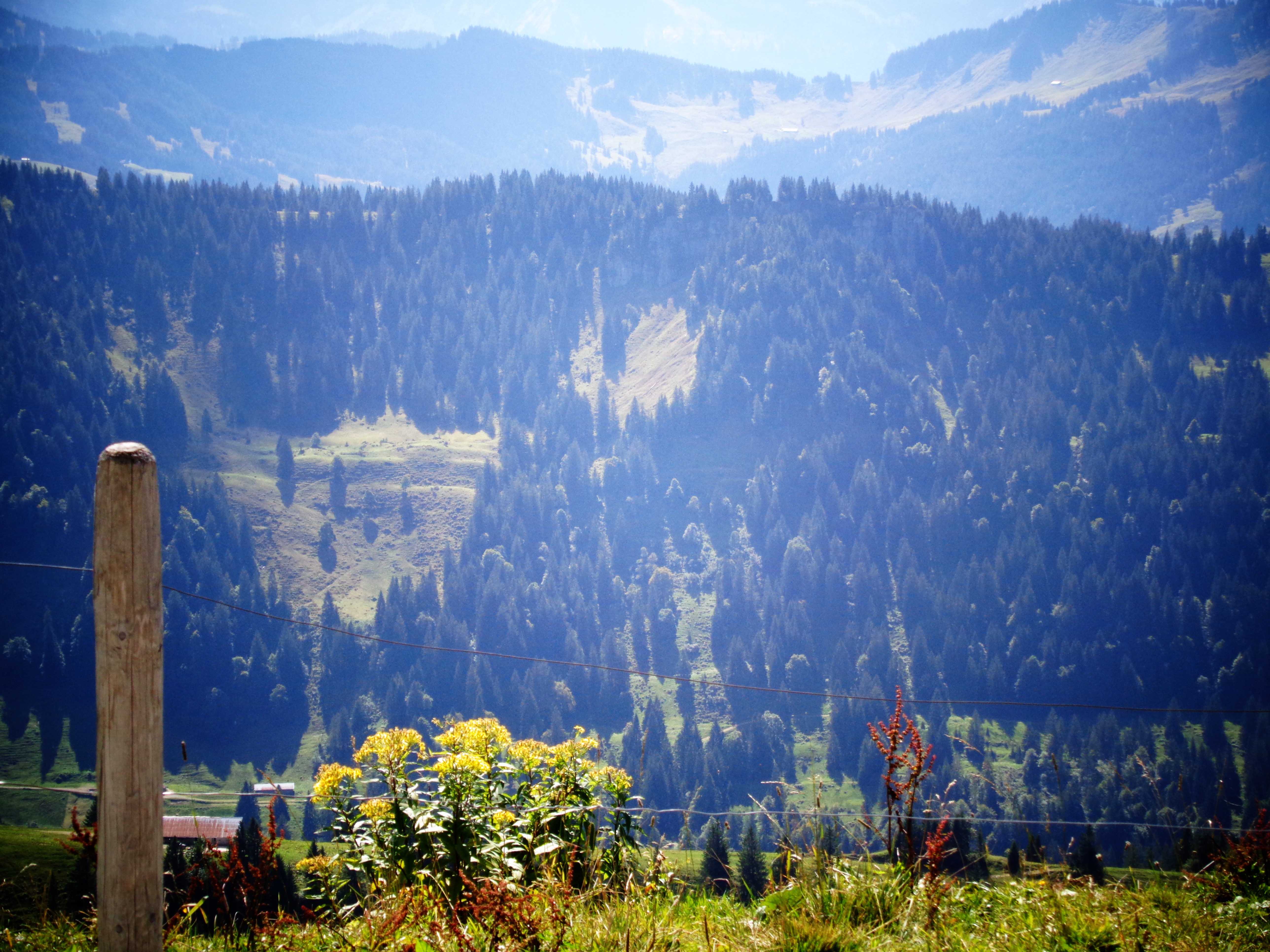 Vitalhotel Interest  Tourentipps Anspruchsvolle Wanderung: Von der Brunnenauscharte auf den Hochgrat