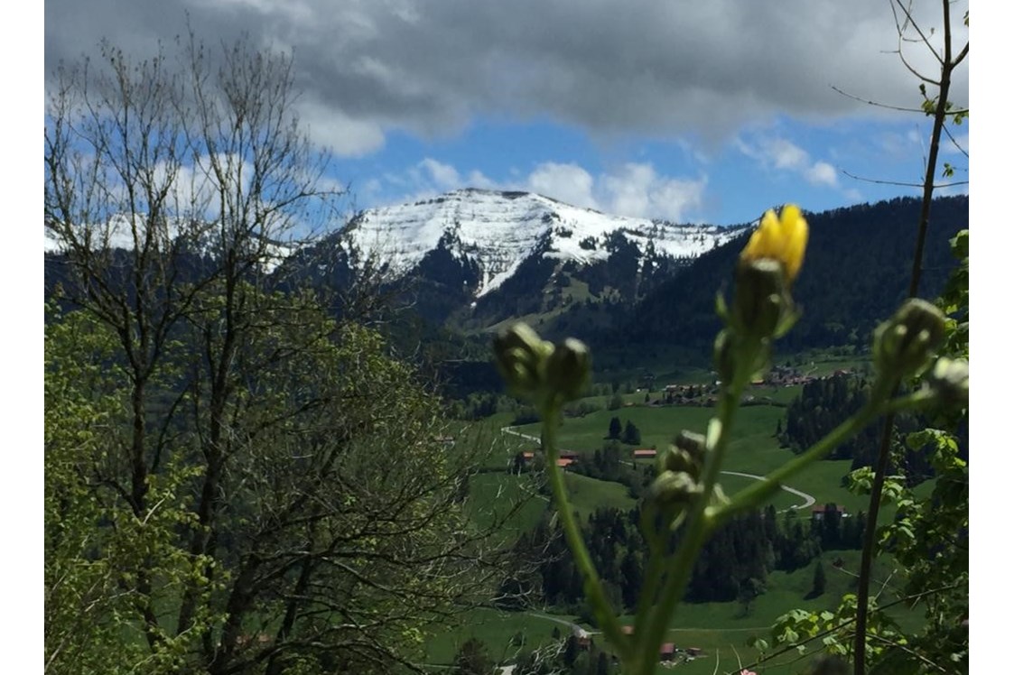 Wanderhotel: "Der Hochgrat" einer der Nagelfluhgipfel
hier im Frühling - Vitalhotel Interest 