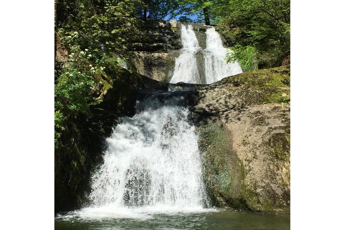 Wanderhotel: Buchenegger Wasserfälle im Ortsteil Buchenegg
- zu Fuß zu erreichen - Vitalhotel Interest 