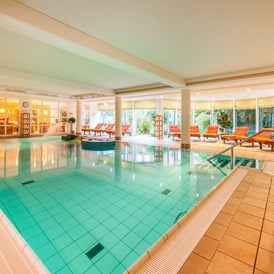Wanderhotel: Schwimmbad - Ringhotel Birke