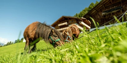 Wanderurlaub - Ridnaun - Sterzing - Taser Alm