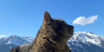 Wanderurlaub - Ridnaun - Sterzing - Taser Alm