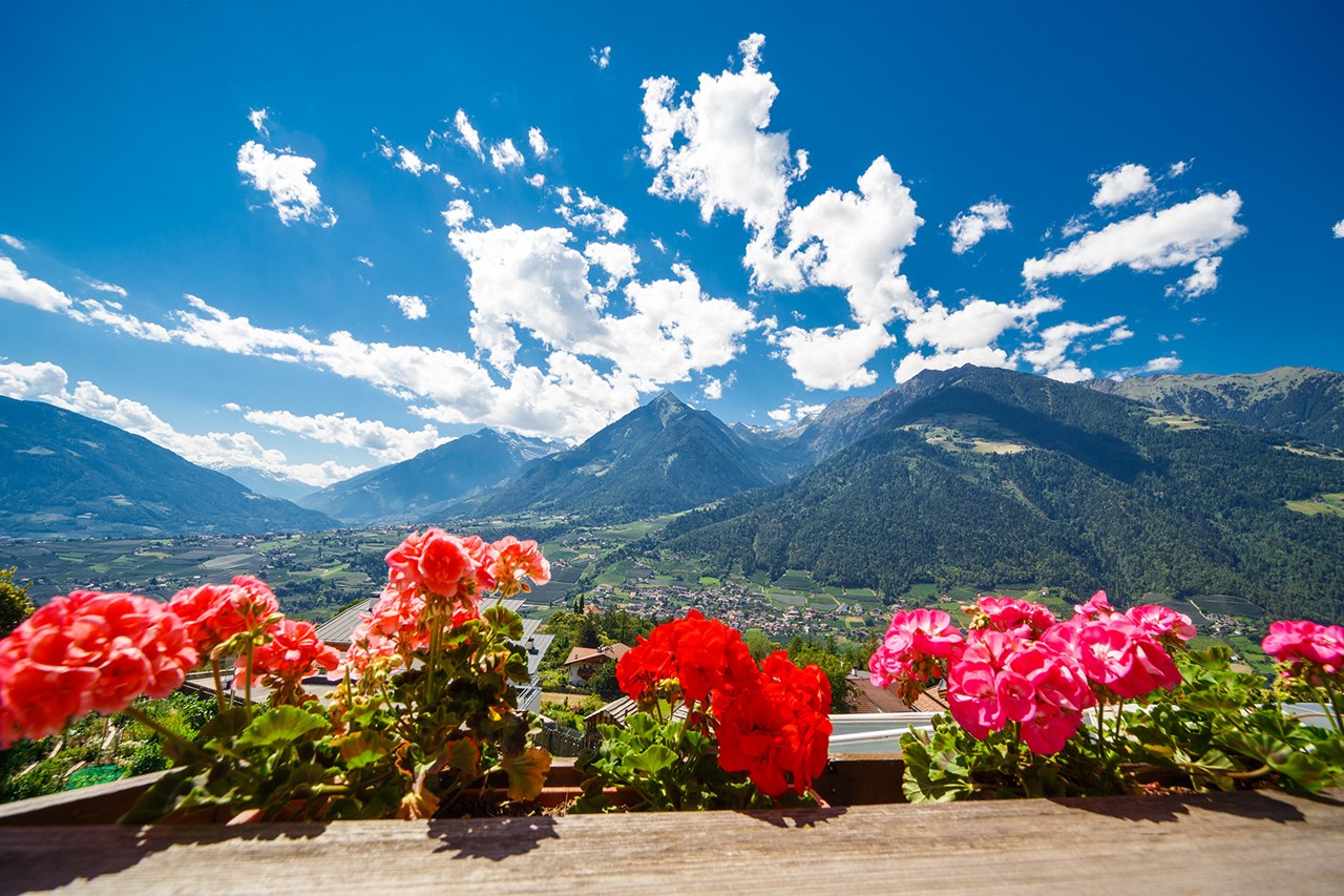 Family Hotel Gutenberg Zimmerkategorien Panorama Adler