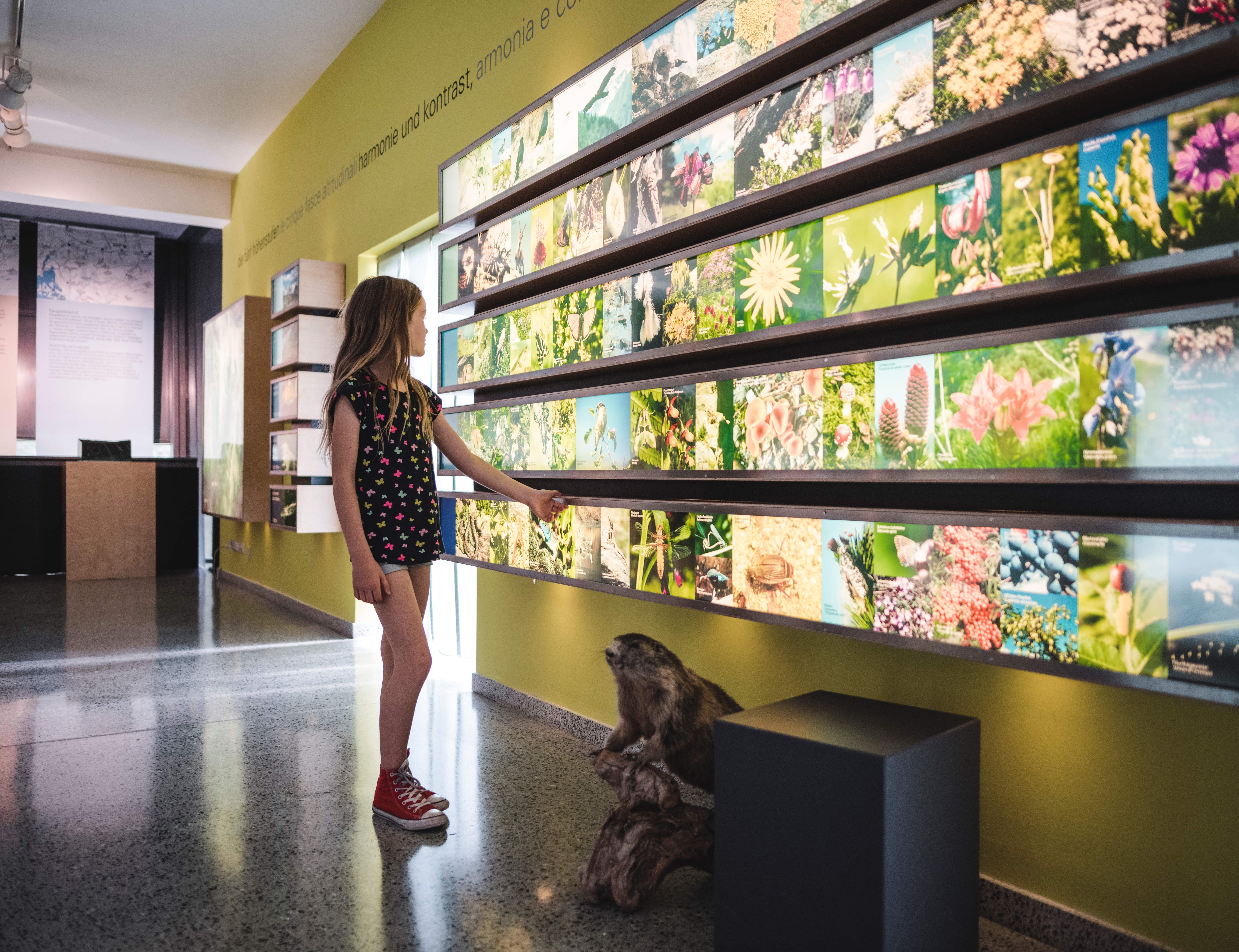 Wanderhotel: Ferien- & Wellnesshotel Windschar