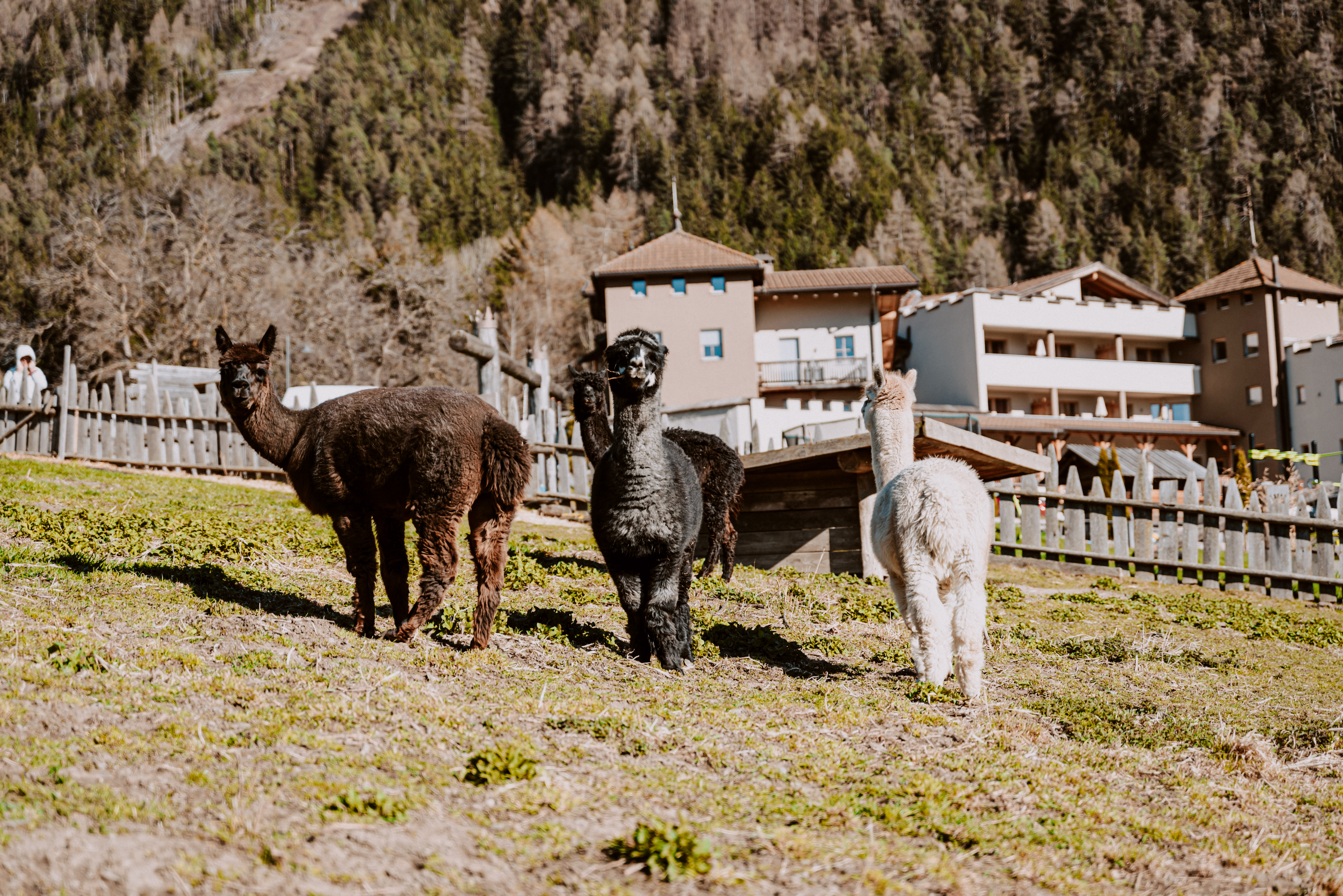 Wanderhotel: Hotel Bergschlössl