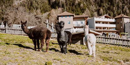 Wanderurlaub - Kinderbetreuung - Italien - Hotel Bergschlössl