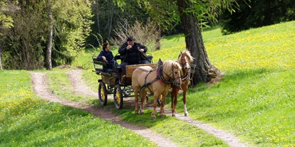 Wanderurlaub - Klobenstein - Hotel König Laurin - Jenesien
