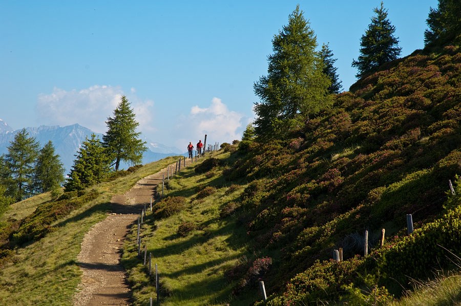 Hotel Sunnwies Almen Wanderung im Hirzergebiet Klammeben – Hintereggeralm – Gompmalm - Prenn