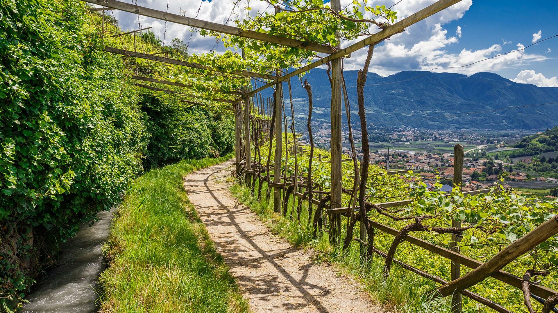 Hotel Sunnwies Tourentipps Über den Algunder Waalweg auf den Tappeiner Weg