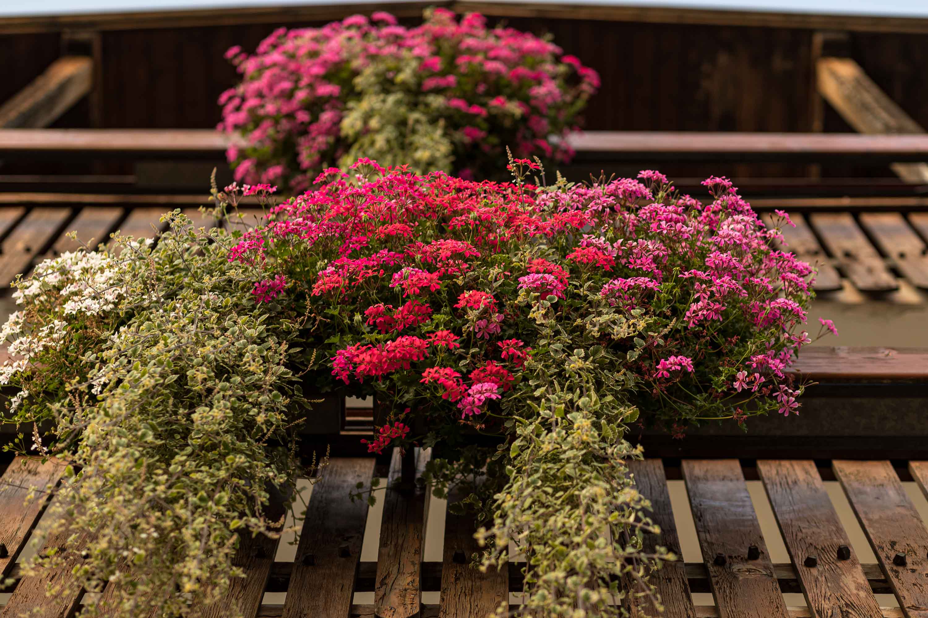 Wanderhotel: Boutique Hotel St Georgen