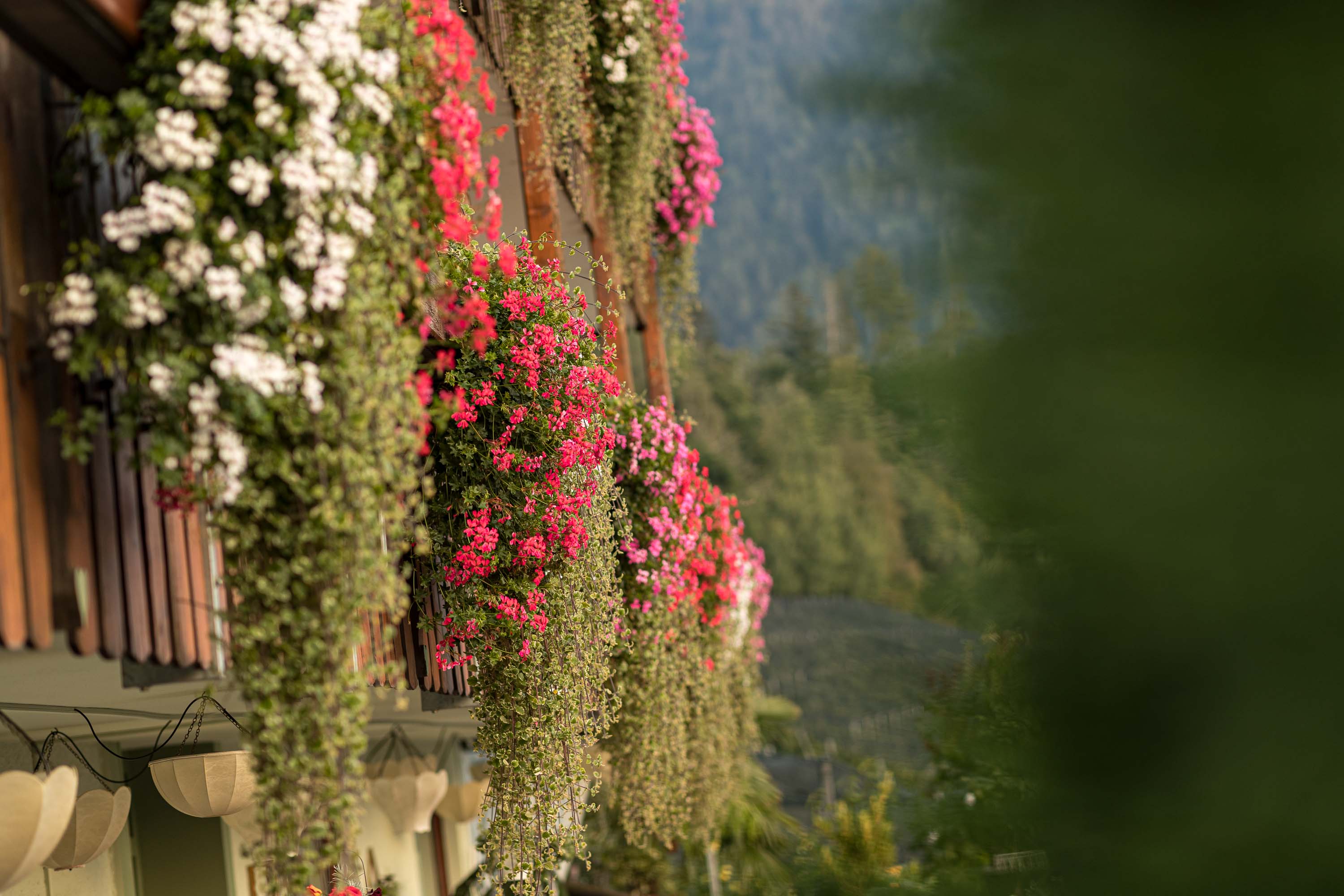 Wanderhotel: Boutique Hotel St Georgen