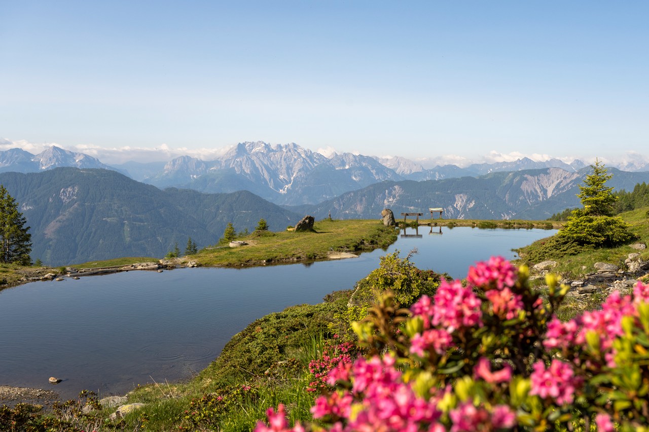 Das Jakob – Historia in Otium Almen Leppner Alm mit Knappensee