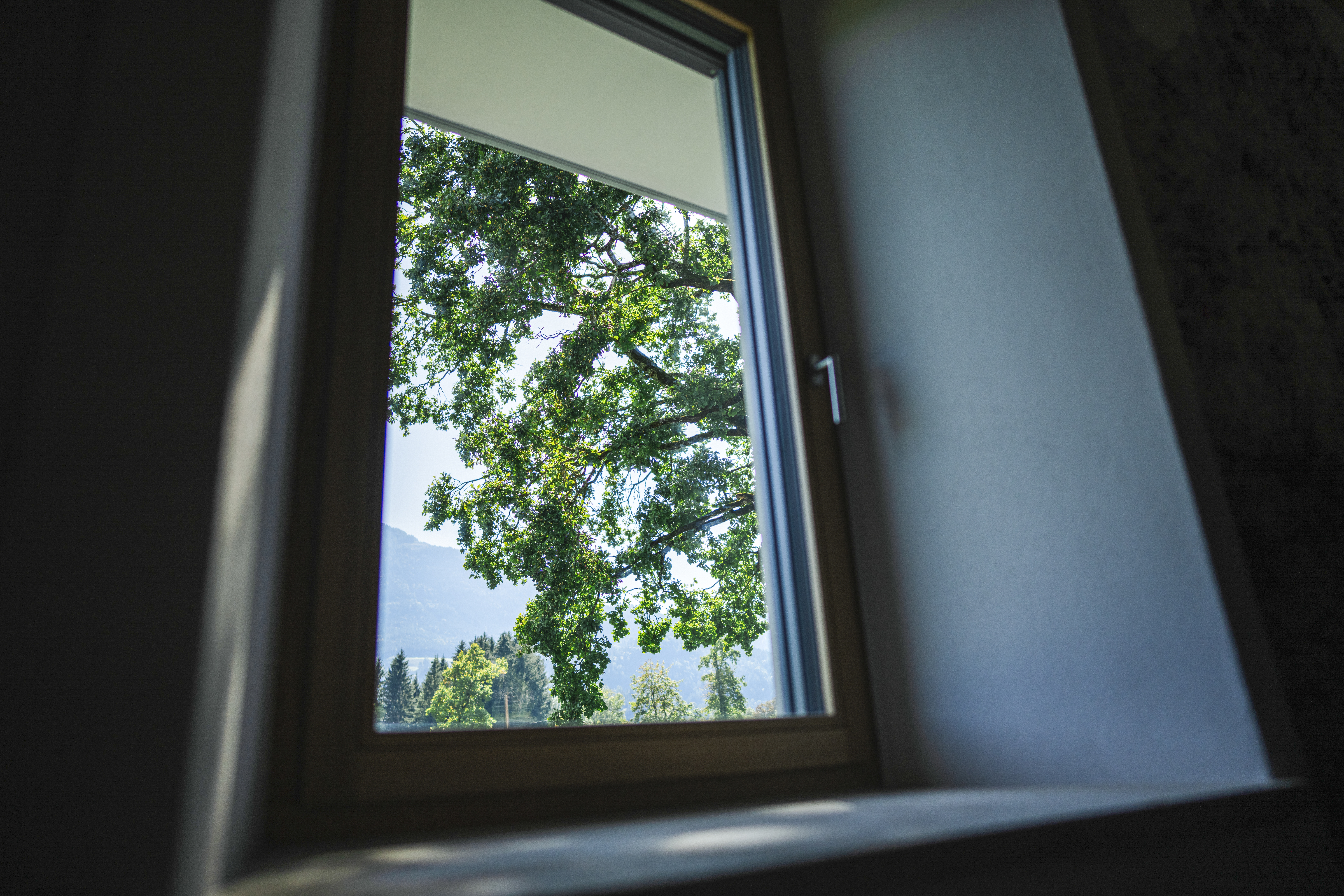 Wanderhotel: Ausblick Fenster nach Süden - Das Jakob – Historia in Otium
