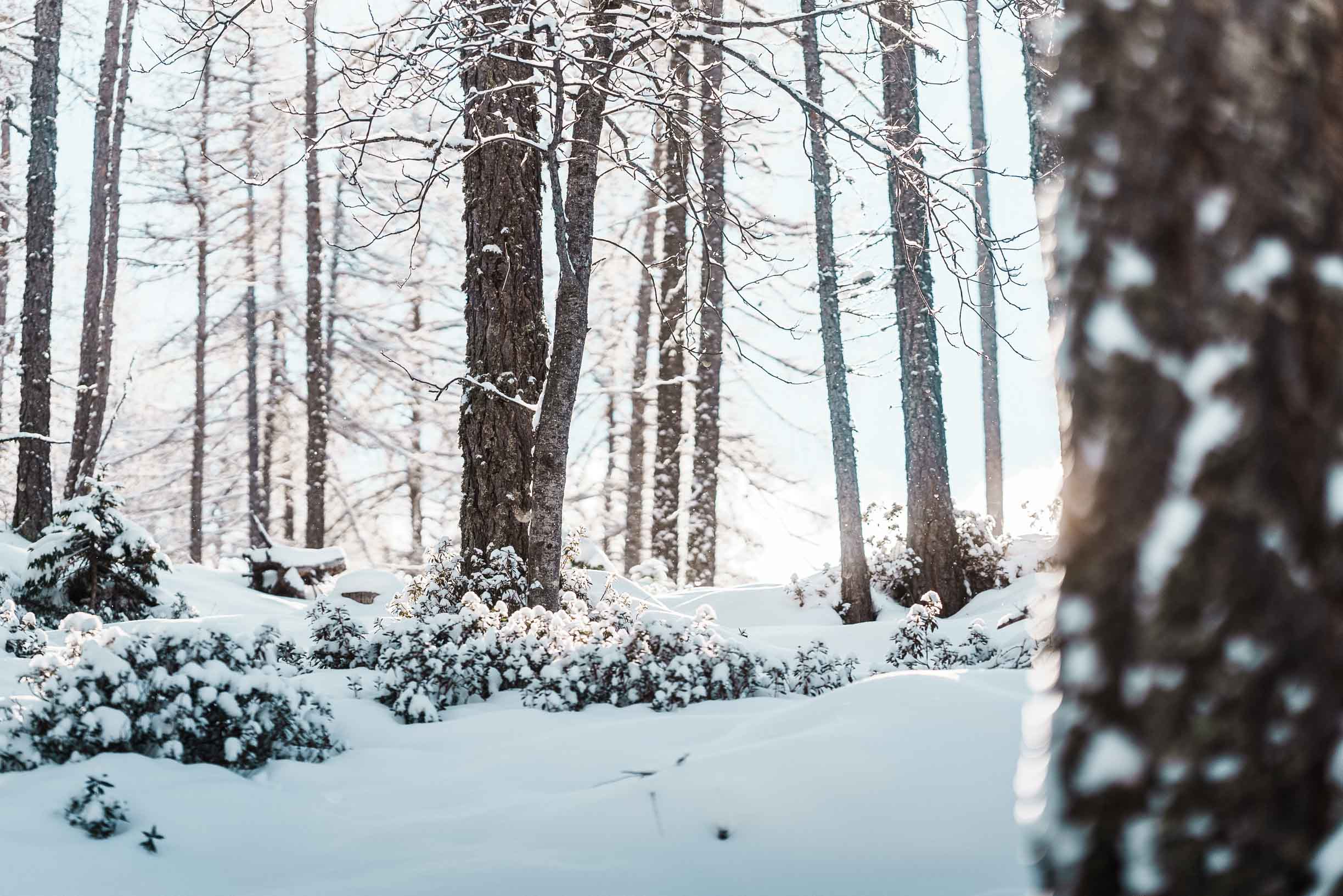 Wanderhotel: Wohlfühlhotel Falzeben