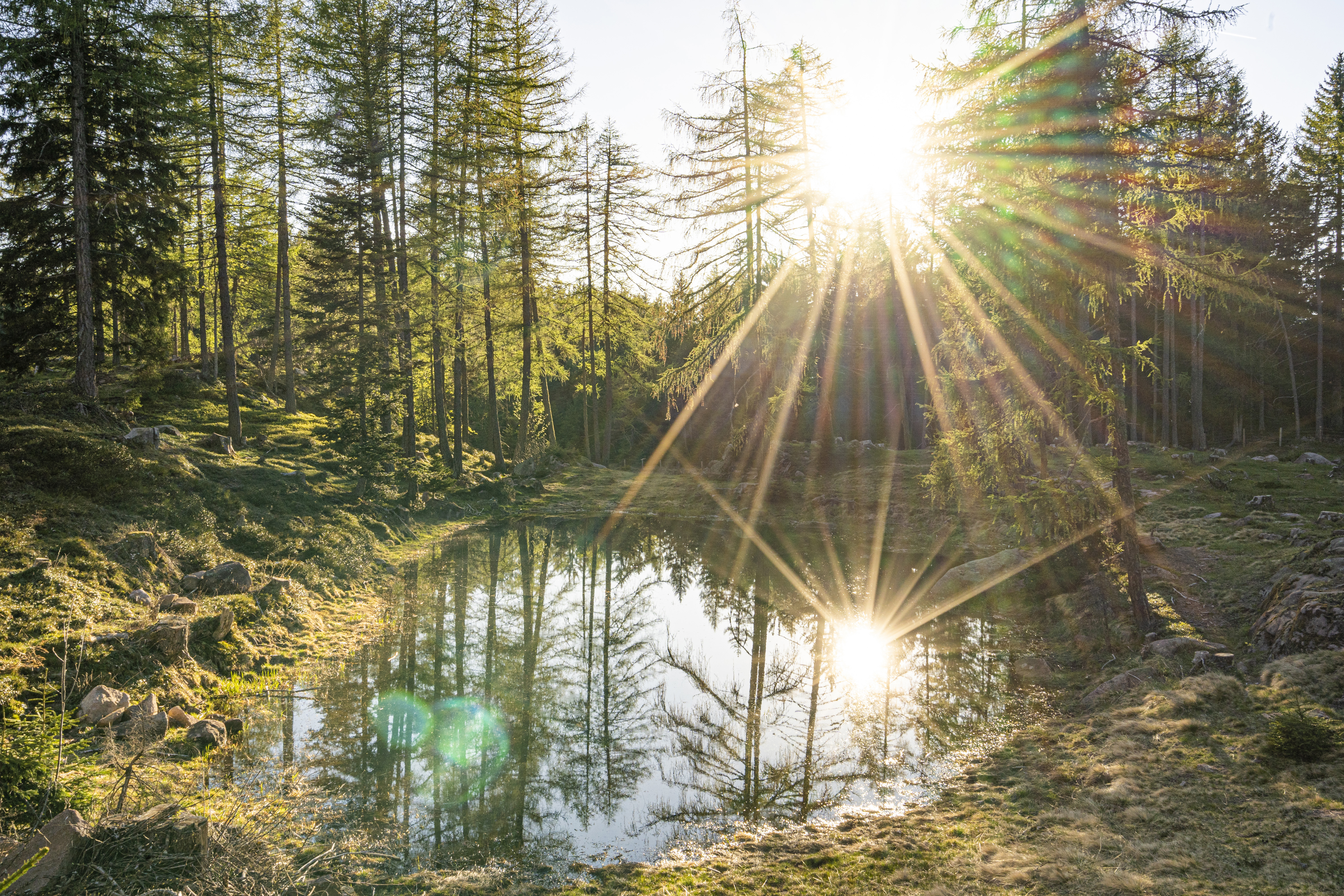 Wanderhotel: Wohlfühlhotel Falzeben