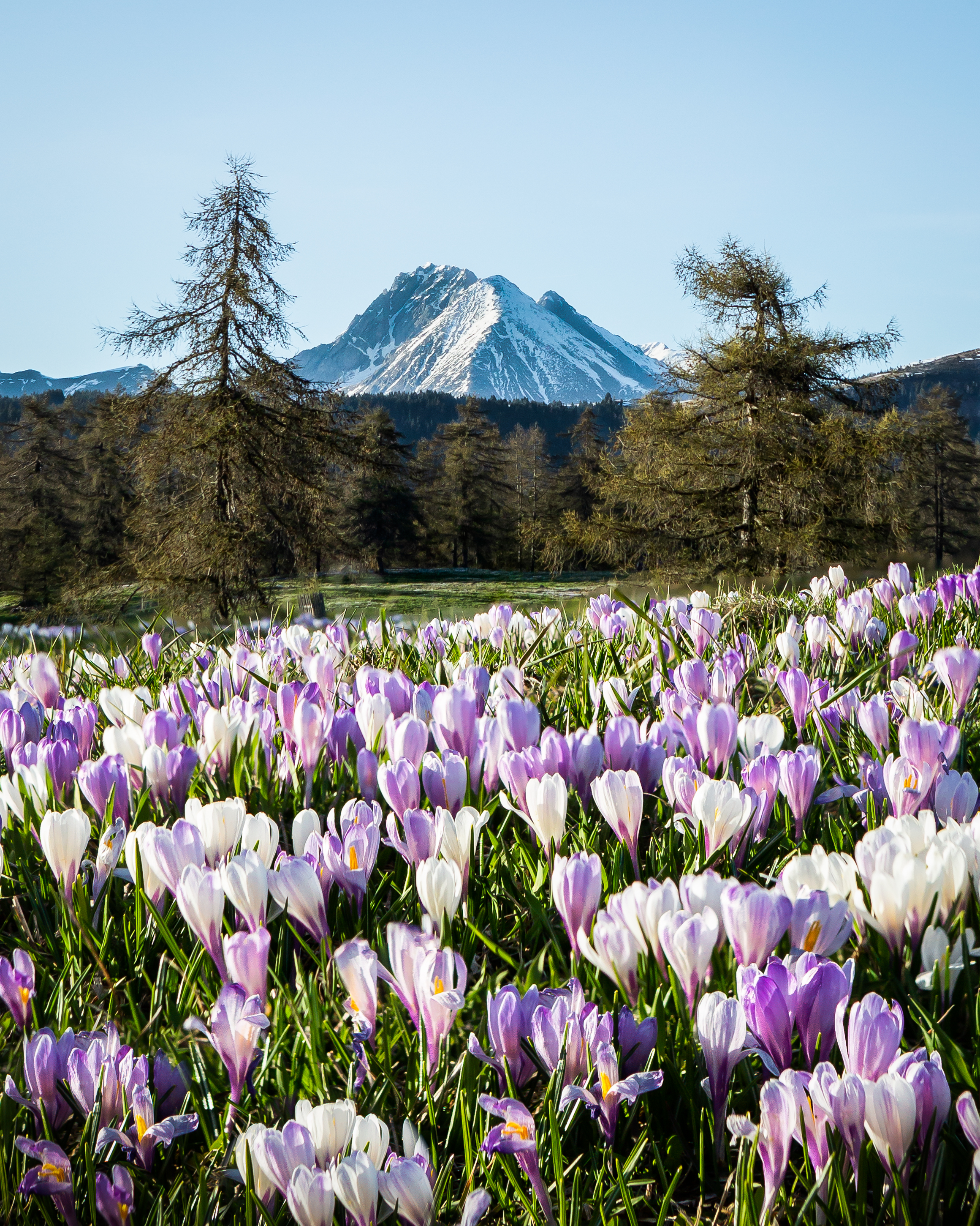 Wanderhotel: Wohlfühlhotel Falzeben