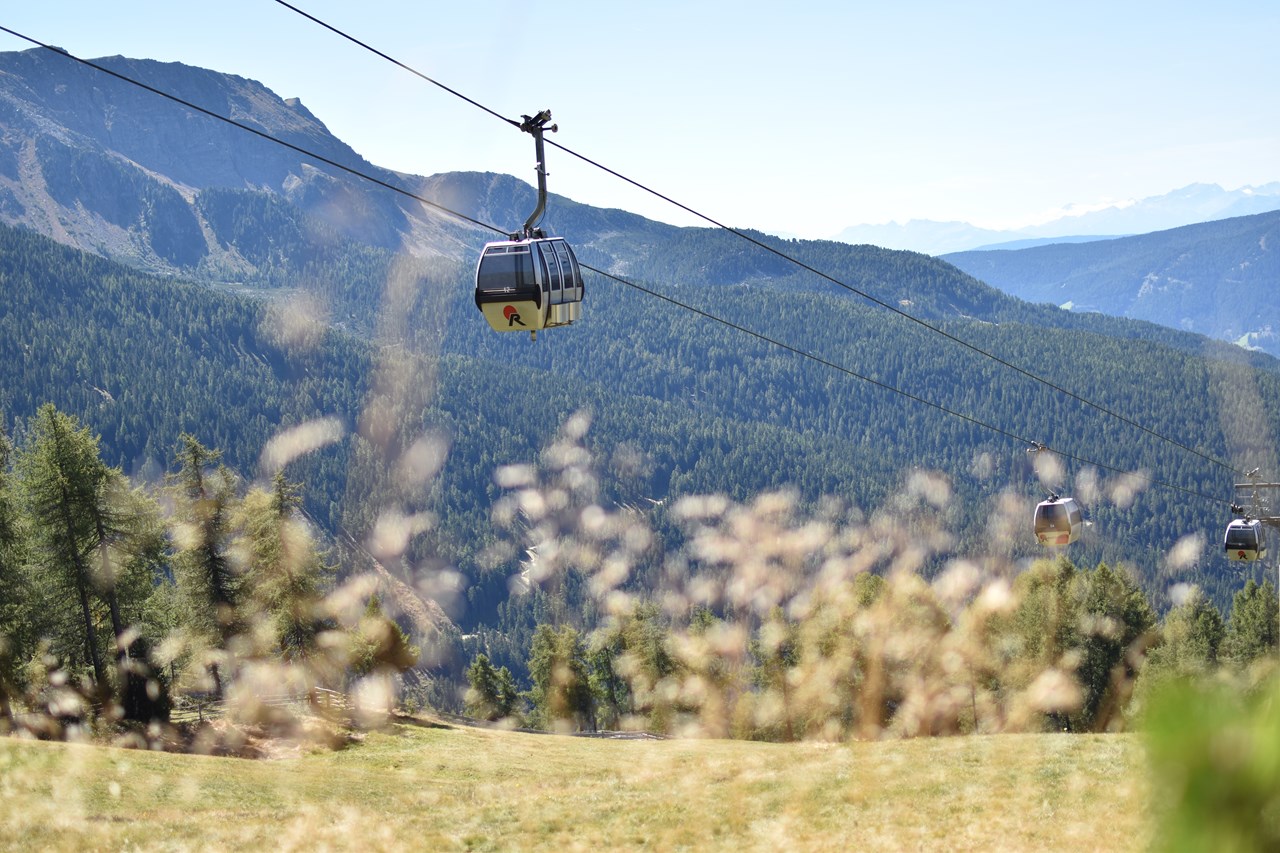 Almhotel Bergerhof  Almen Pichelberg