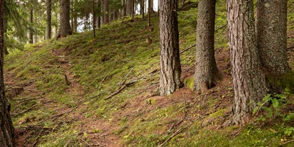 Wanderurlaub - Fahrstuhl - Direkt vom Hotel St. Oswald in den Wald starten
©️ Rupert Mühlbacher - Hotel St. Oswald