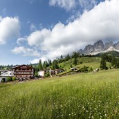 Wanderhotel - Moseralm Dolomiti Spa Resort