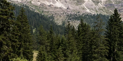 Wanderurlaub - Fahrstuhl - Moseralm Dolomiti Spa Resort