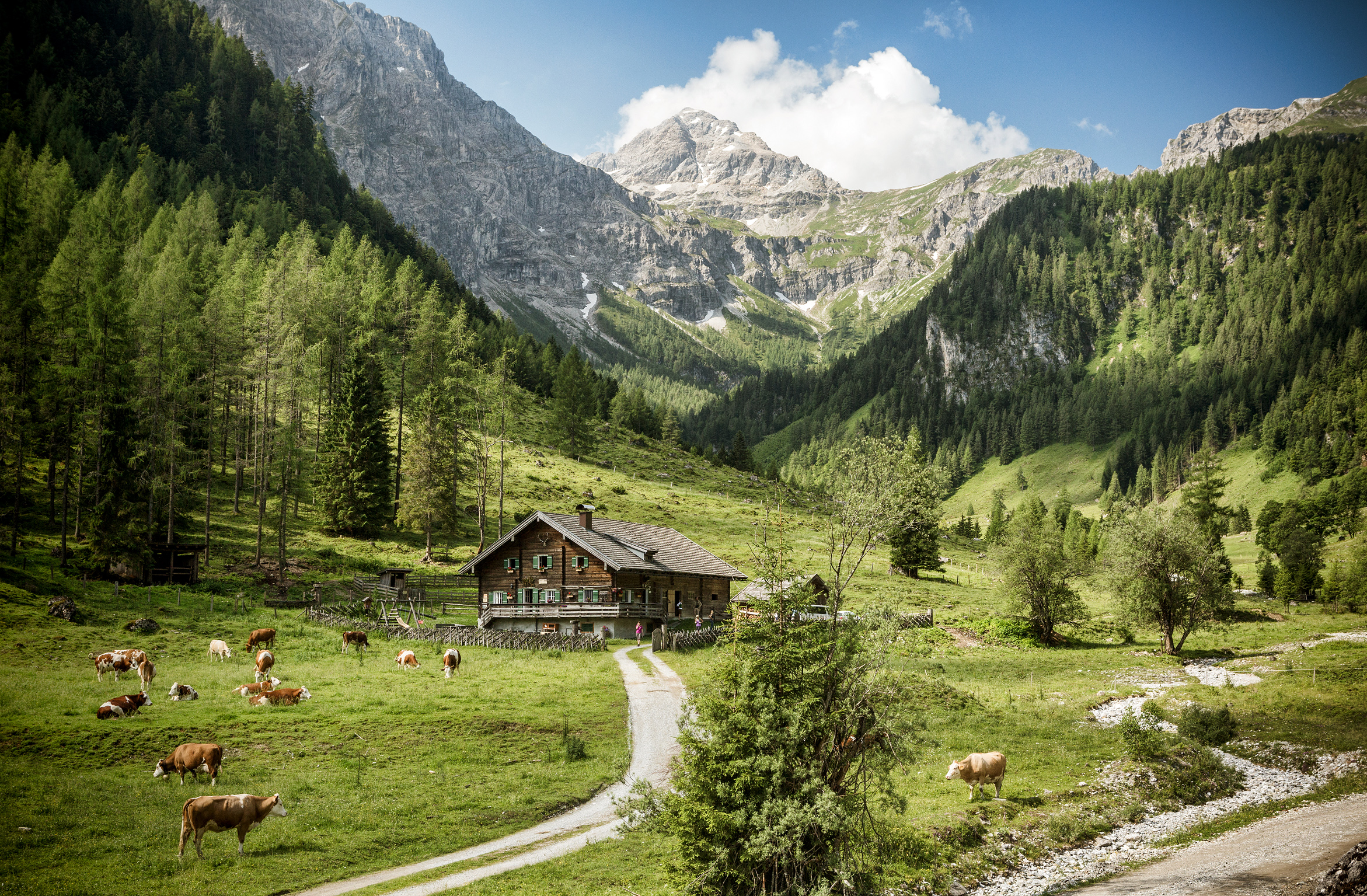 Sonnberg Ferienanlage Almen Marbachalmen