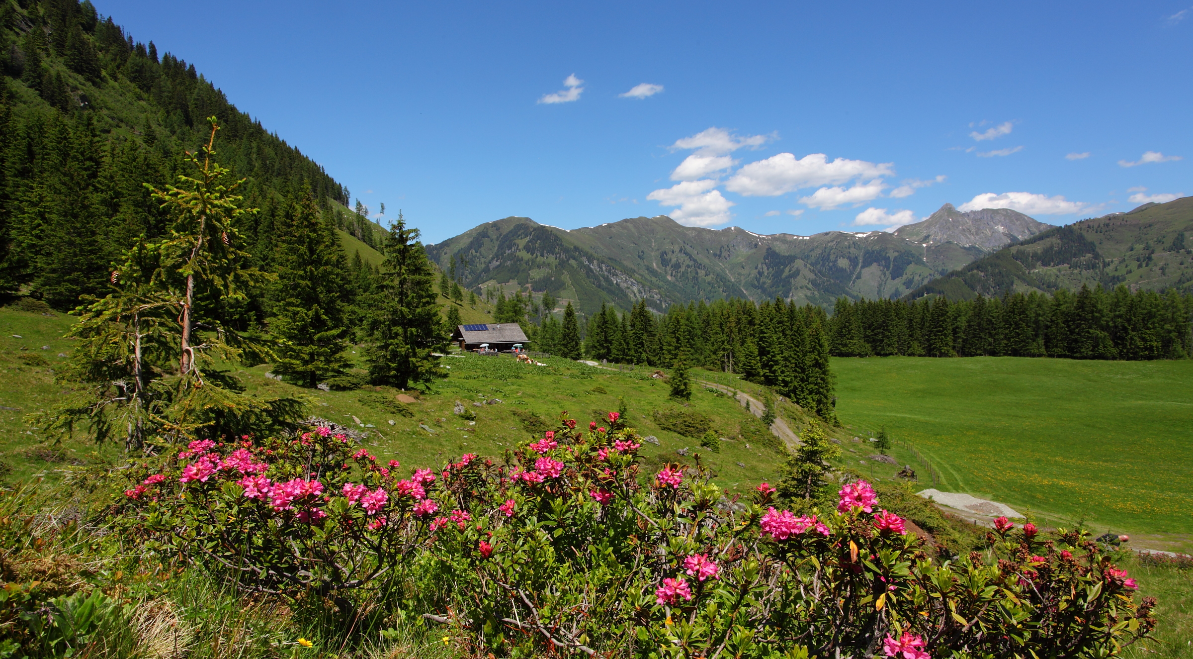 Wanderurlaub - Bad Hofgastein - Aparthotel Almrösl