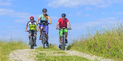 Wanderurlaub - Klassifizierung: 3 Sterne - Genussradeln und E-Biken im Garten Österreichs - Wohlfühl Hotel Wiesenhof