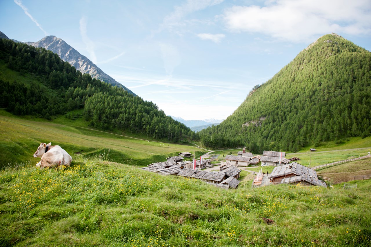 Alpin Hotel Masl Almen Milchweg Vals zur Fane Alm