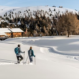 Wanderhotel: Winterwandern - Alpin Hotel Masl