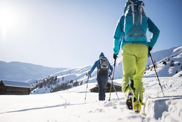 Wanderhotel: Winterwandern - Alpin Hotel Masl