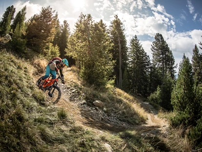 Wanderurlaub - Fahrstuhl - Brixen Bike Wald - Hotel Masl
