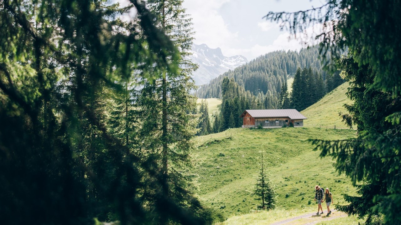 Hotel Goldener Berg - Your Mountain Selfcare Resort Almen Zur Bodenalpe