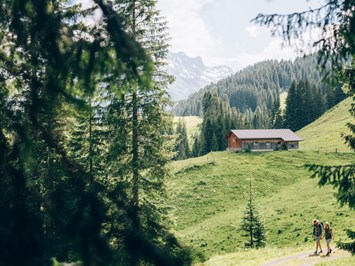 Hotel Goldener Berg - Your Mountain Selfcare Resort Almen Zur Bodenalpe